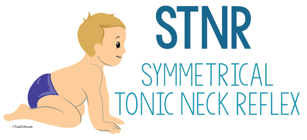 Symmetrical Tonic Neck Reflex (STNR)- Copyright ToolsToGrowOT.com