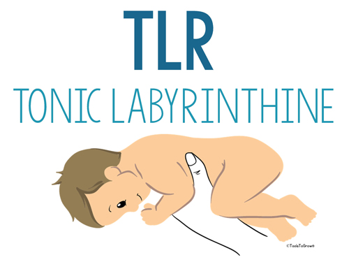 Tonic Labyrinthine-Prone & Supine (TLR) - Copyright ToolsToGrowOT.com