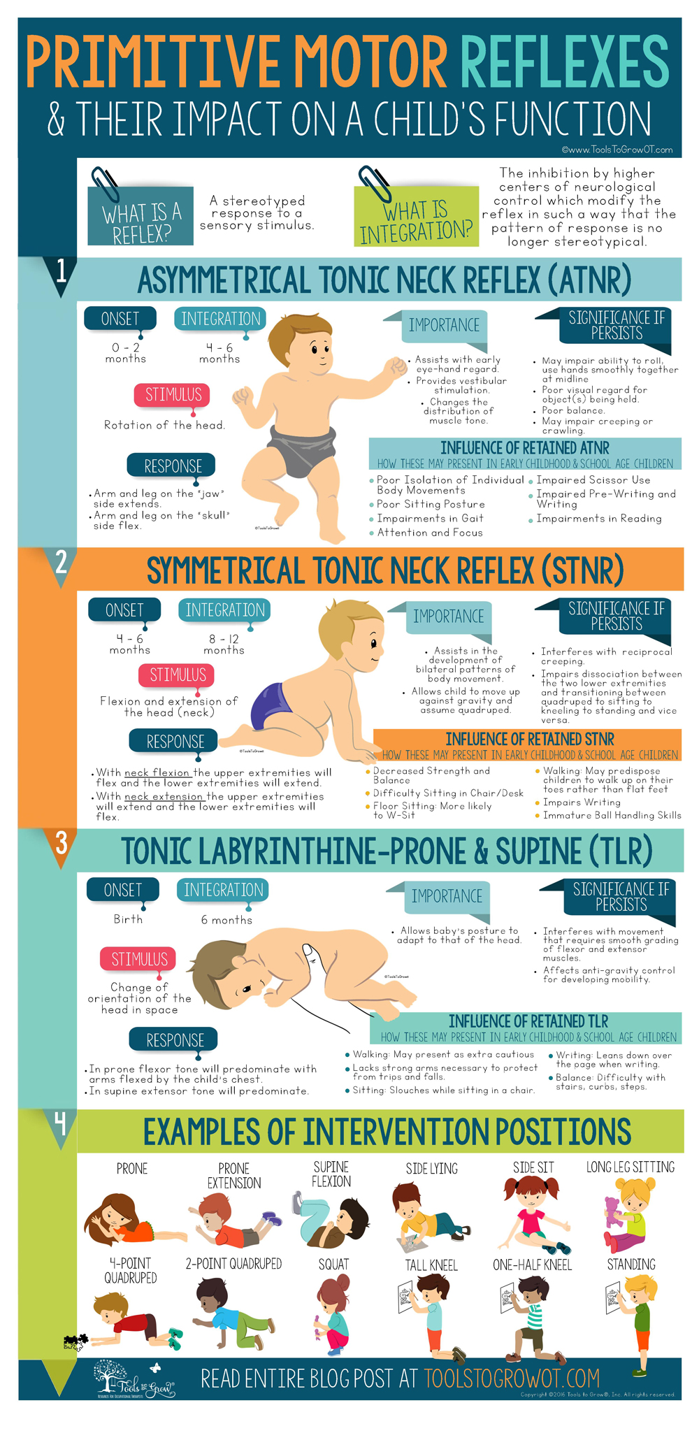 Infographic - Primitive Motor Reflexes & Their Impact on a Child's Function - Copyright ToolsToGrowOT.com