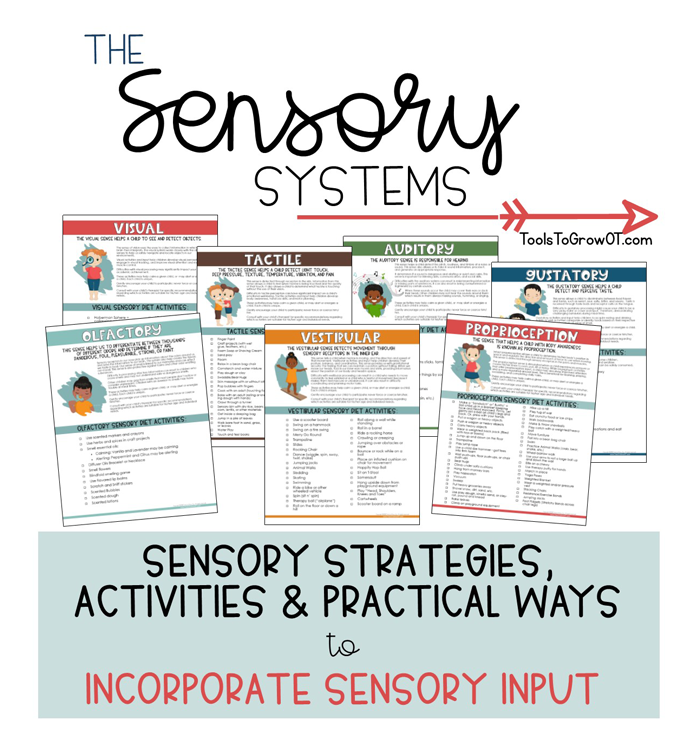 Sensory Systems - Ideas and Activites