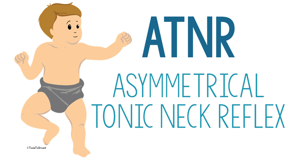 Asymmetrical Tonic Neck Reflex (ATNR) Copyright - ToolsToGrowOT.com