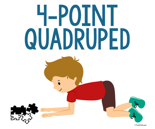 4-Point Quadruped Position - Copyright ToolsToGrowOT.com