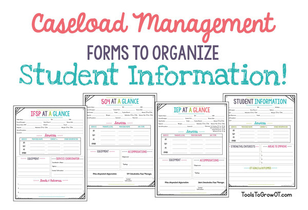 Forms to Organize Student Information - IEPs, IFSPs, 504s, and Student Information