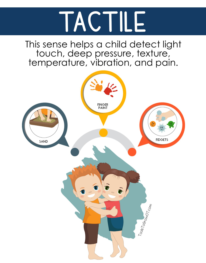 Sensory Diet - Tools to Grow