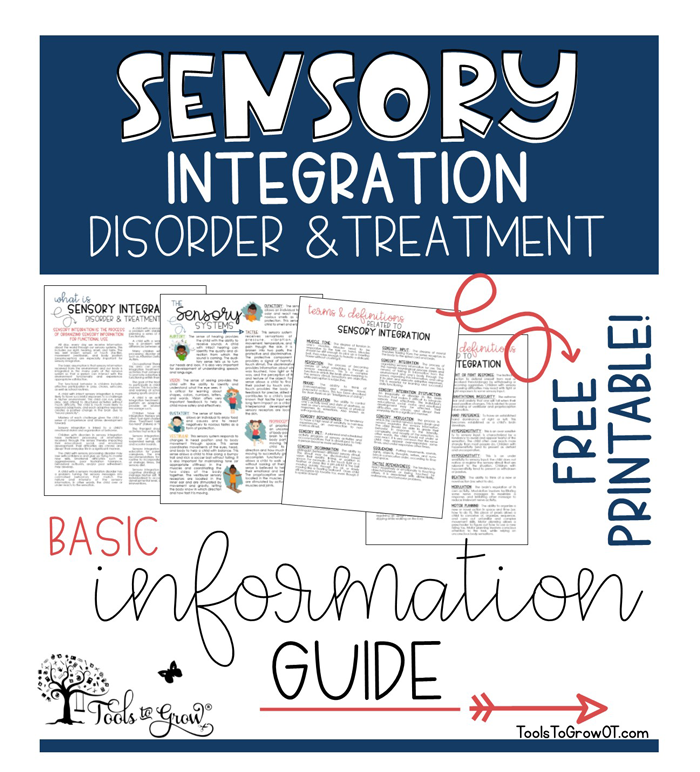 FREE Basic Information on Sensory Systems and Sensory Processing