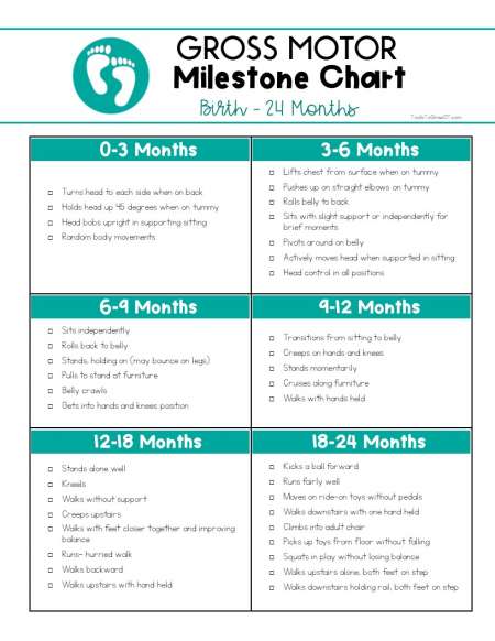 Motor Development Milestones Chart