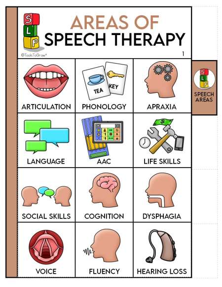 8 X 12 In. Speech Therapist Decal - Pathologist Therapy Impediment Disorder Talk