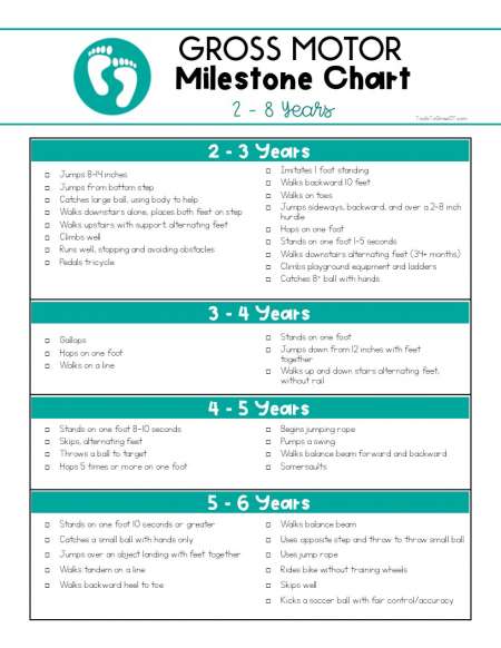 2 Yr Old Milestones Chart